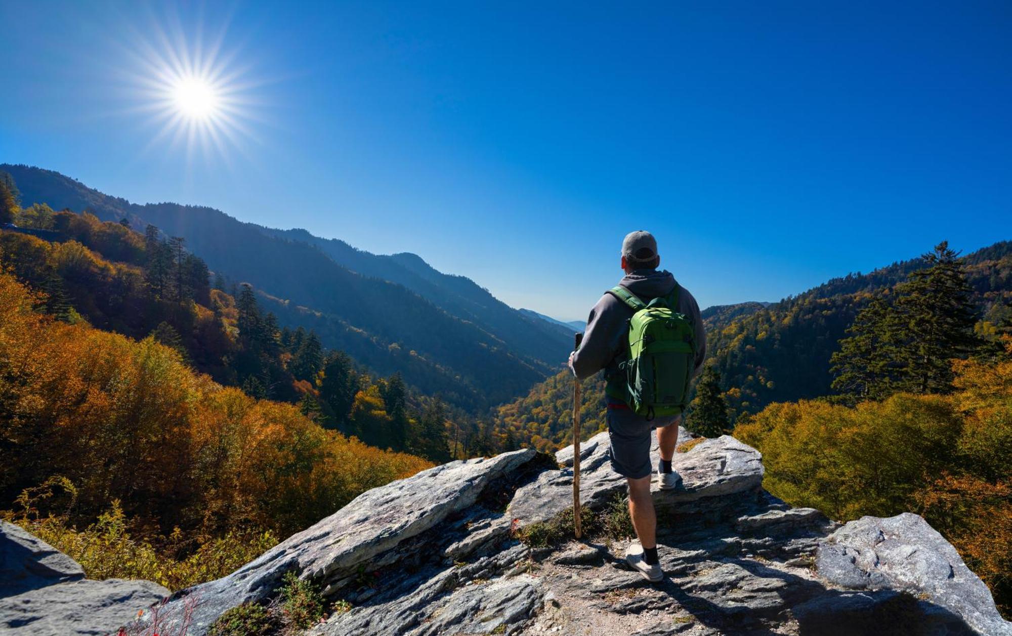 Highland Dream, Hot Tub, 1089 Free Tickets Each Paid Day, Dollywood And More Сев'єрвілл Екстер'єр фото