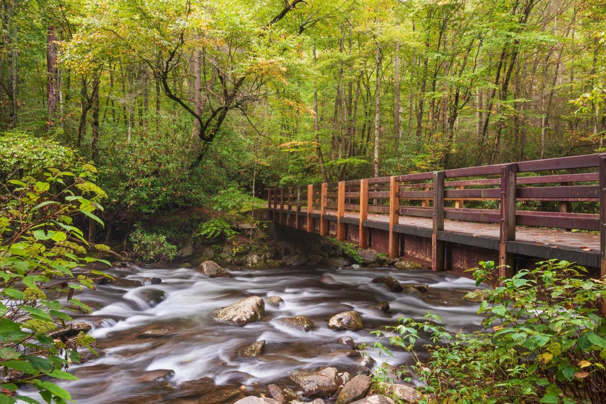 Highland Dream, Hot Tub, 1089 Free Tickets Each Paid Day, Dollywood And More Сев'єрвілл Екстер'єр фото